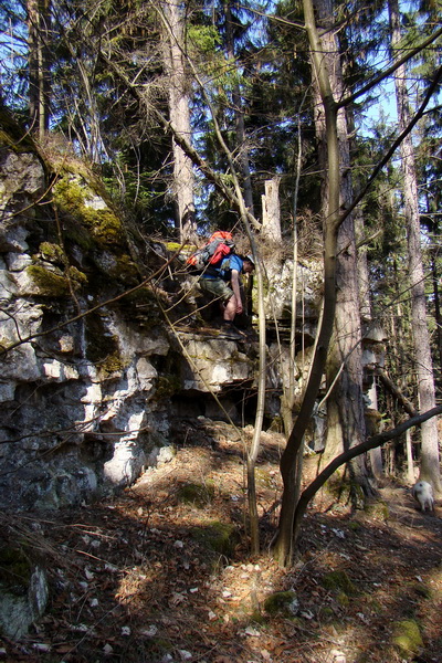 Geravy zo Spišských Tomášoviec (Slovenský raj)