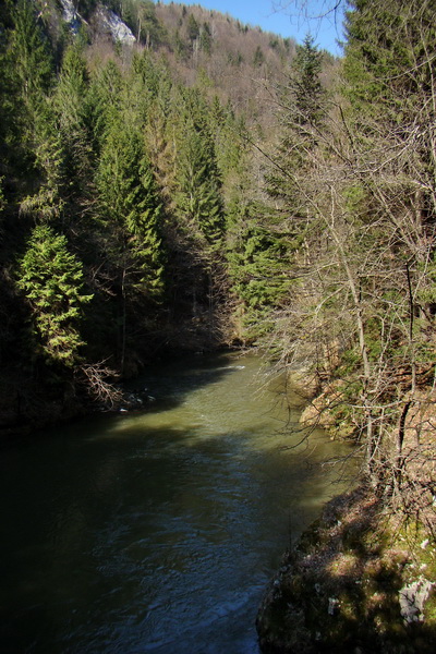 Geravy zo Spišských Tomášoviec (Slovenský raj)