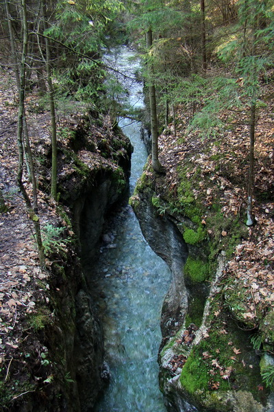 Geravy zo Spišských Tomášoviec (Slovenský raj)