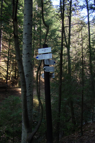 Geravy zo Spišských Tomášoviec (Slovenský raj)