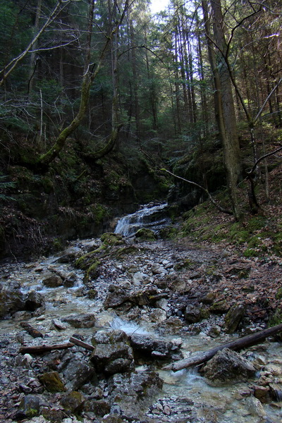 Geravy zo Spišských Tomášoviec (Slovenský raj)