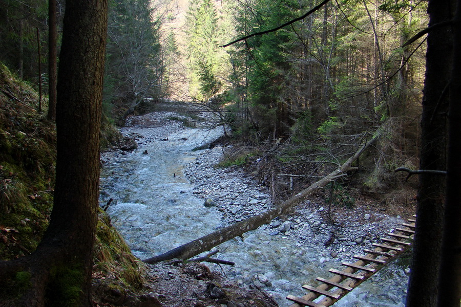 Geravy zo Spišských Tomášoviec (Slovenský raj)