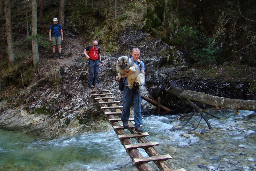 Geravy zo Spišských Tomášoviec (Slovenský raj)