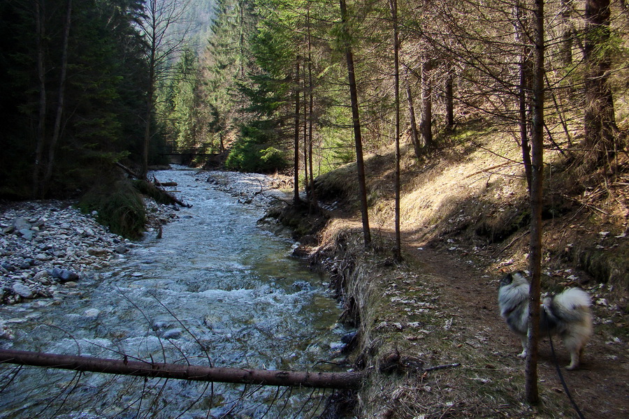 Geravy zo Spišských Tomášoviec (Slovenský raj)