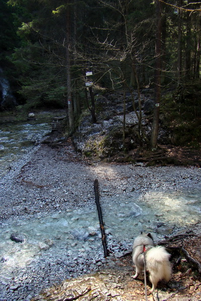 Geravy zo Spišských Tomášoviec (Slovenský raj)