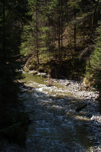 Geravy zo Spišských Tomášoviec (Slovenský raj)