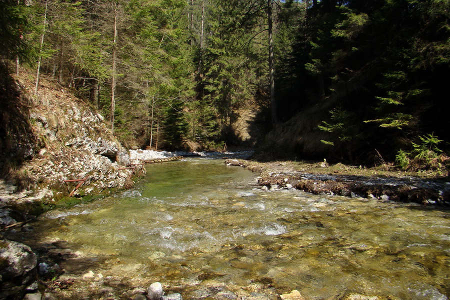 Geravy zo Spišských Tomášoviec (Slovenský raj)