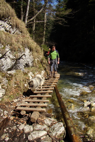 Geravy zo Spišských Tomášoviec (Slovenský raj)