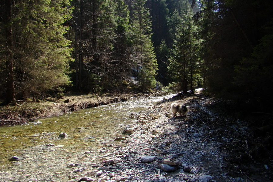 Geravy zo Spišských Tomášoviec (Slovenský raj)