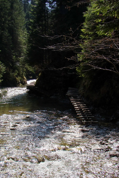 Geravy zo Spišských Tomášoviec (Slovenský raj)