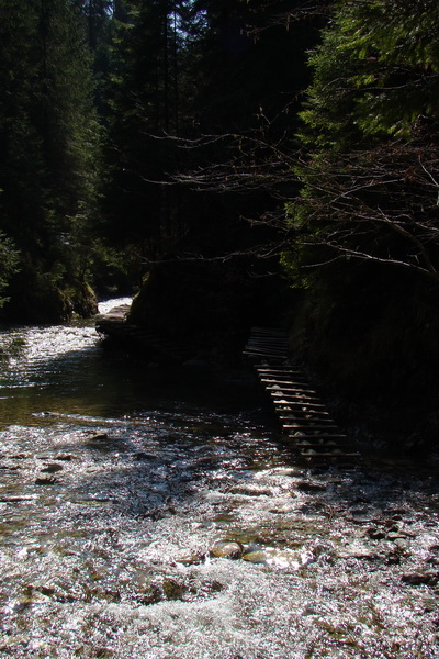 Geravy zo Spišských Tomášoviec (Slovenský raj)