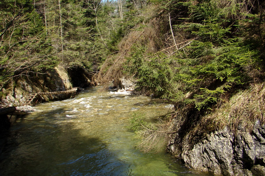 Geravy zo Spišských Tomášoviec (Slovenský raj)