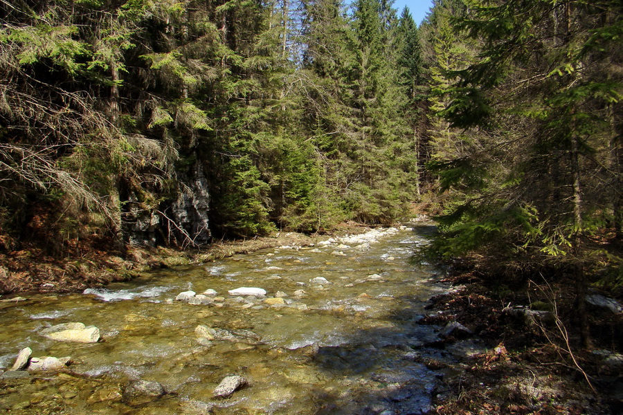 Geravy zo Spišských Tomášoviec (Slovenský raj)