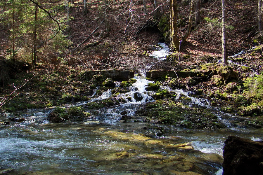 Geravy zo Spišských Tomášoviec (Slovenský raj)