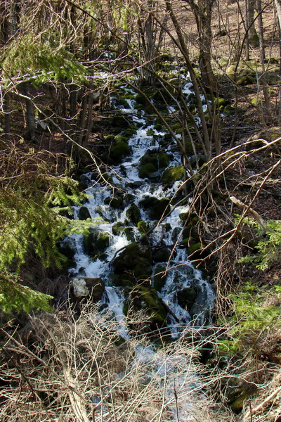 Geravy zo Spišských Tomášoviec (Slovenský raj)