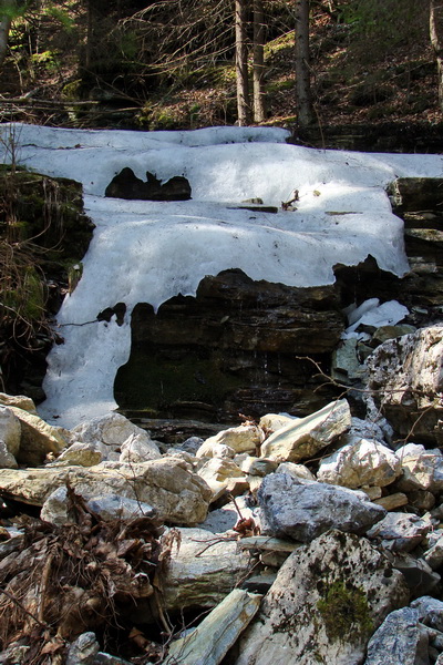 Geravy zo Spišských Tomášoviec (Slovenský raj)