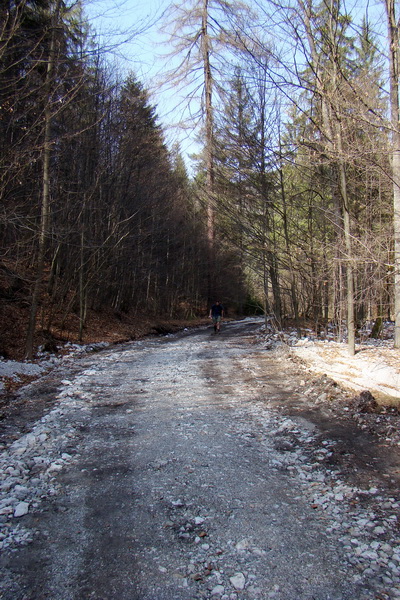 Geravy zo Spišských Tomášoviec (Slovenský raj)