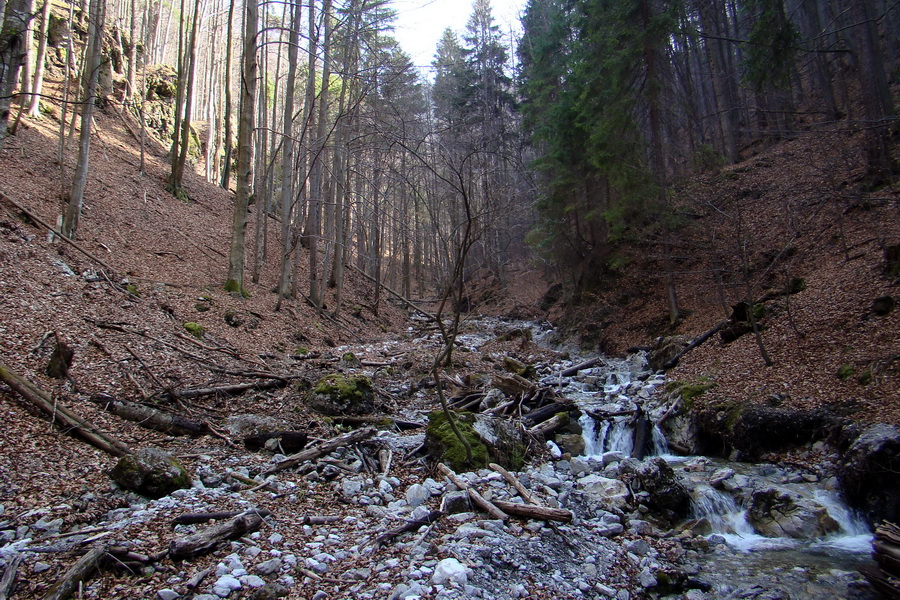 Geravy zo Spišských Tomášoviec (Slovenský raj)