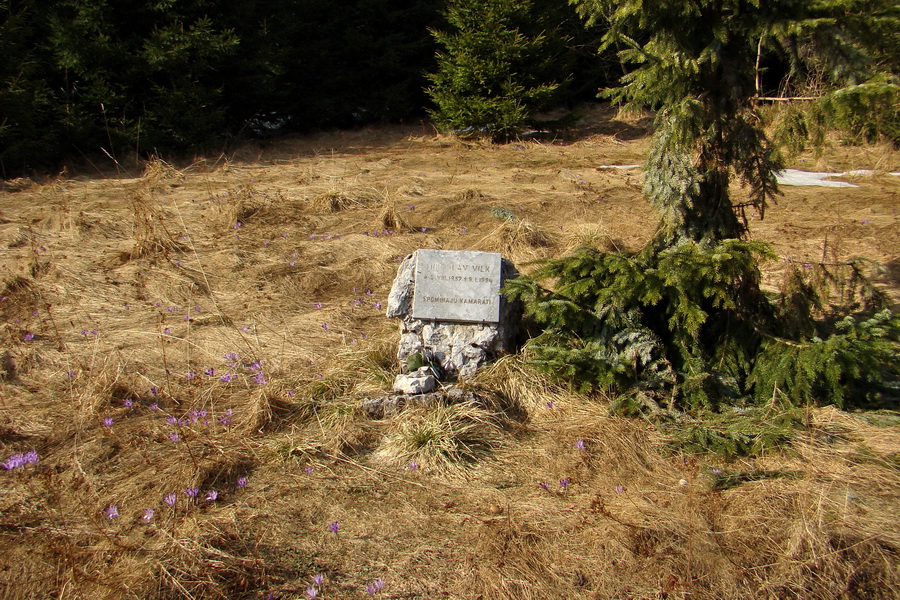 Geravy zo Spišských Tomášoviec (Slovenský raj)