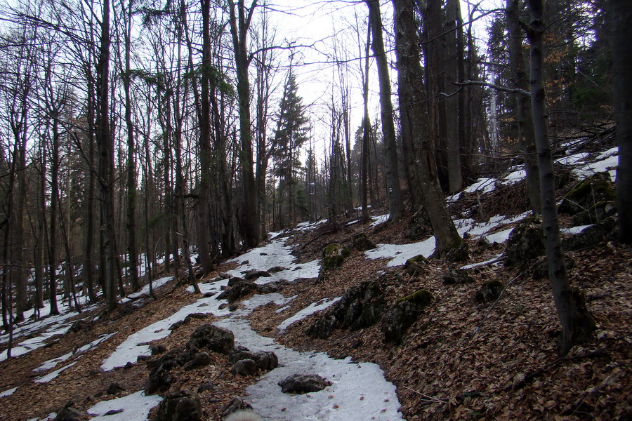 Geravy zo Spišských Tomášoviec (Slovenský raj)