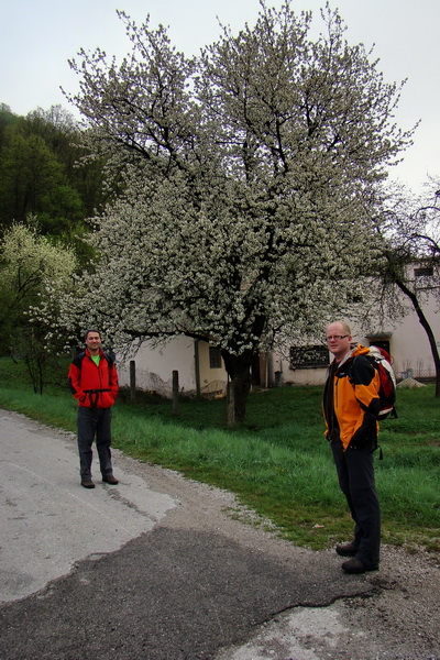 Gerlašská skala (Slovenský kras)