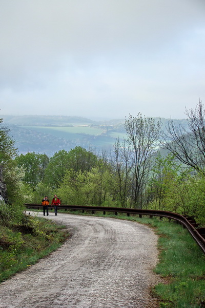 Gerlašská skala (Slovenský kras)