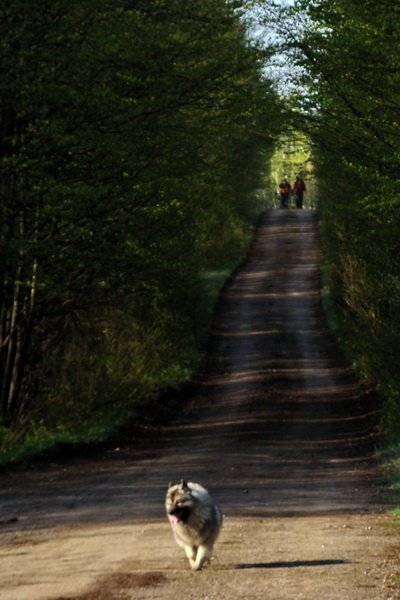 Gerlašská skala (Slovenský kras)