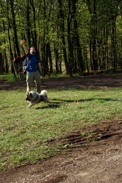 Gerlašská skala (Slovenský kras)