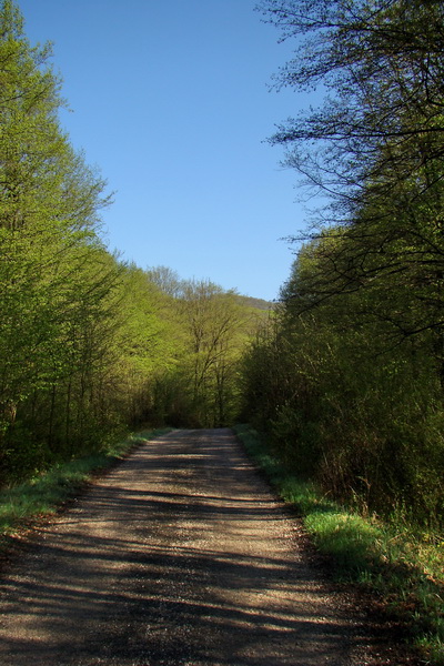 Gerlašská skala (Slovenský kras)