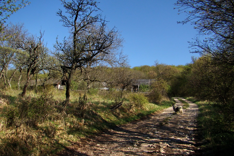 Gerlašská skala (Slovenský kras)