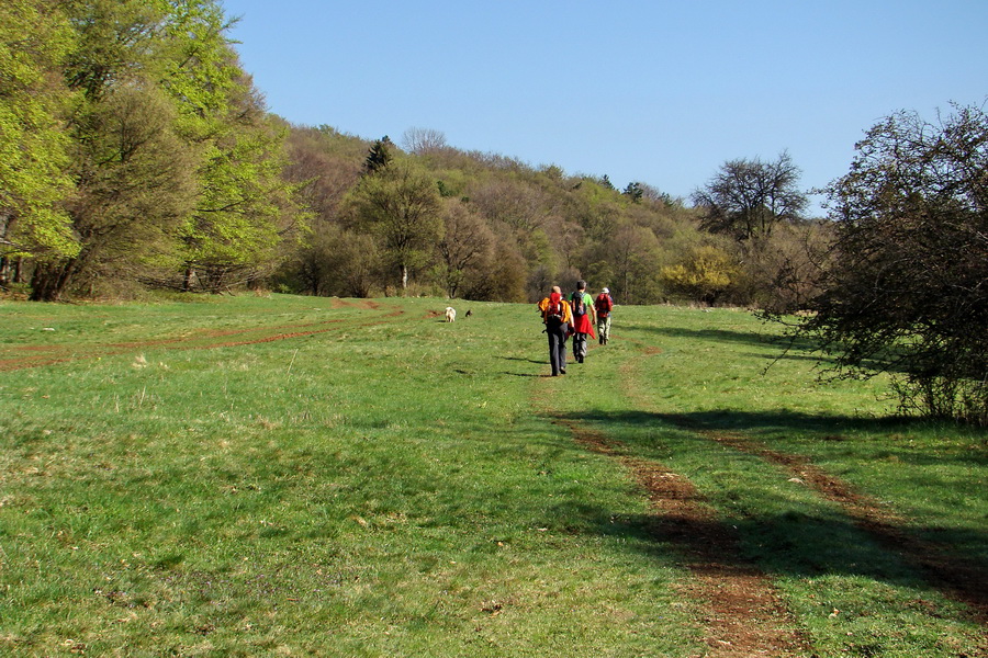 Gerlašská skala (Slovenský kras)