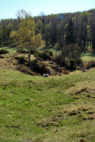 Gerlašská skala (Slovenský kras)