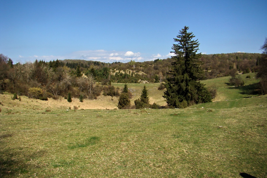 Gerlašská skala (Slovenský kras)