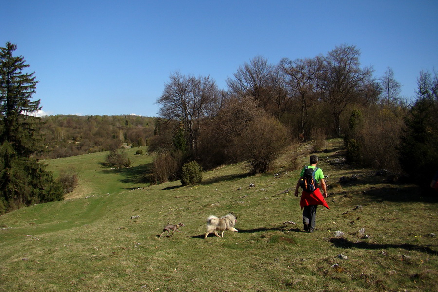 Gerlašská skala (Slovenský kras)