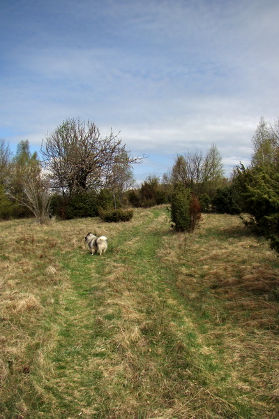 Gerlašská skala (Slovenský kras)