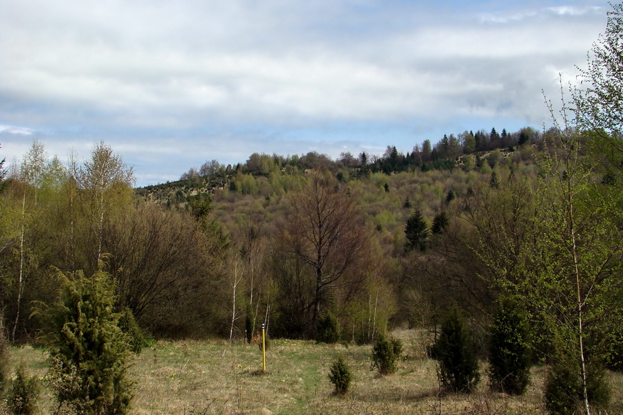 Gerlašská skala (Slovenský kras)