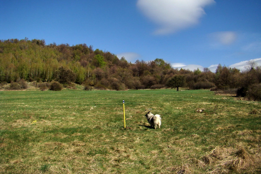 Gerlašská skala (Slovenský kras)