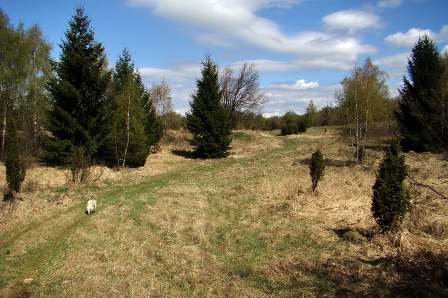 Gerlašská skala (Slovenský kras)