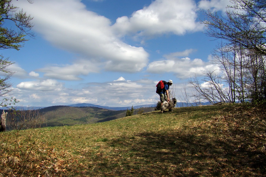 Gerlašská skala (Slovenský kras)