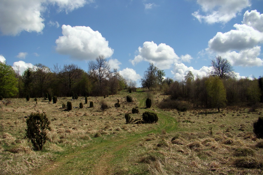 Gerlašská skala (Slovenský kras)