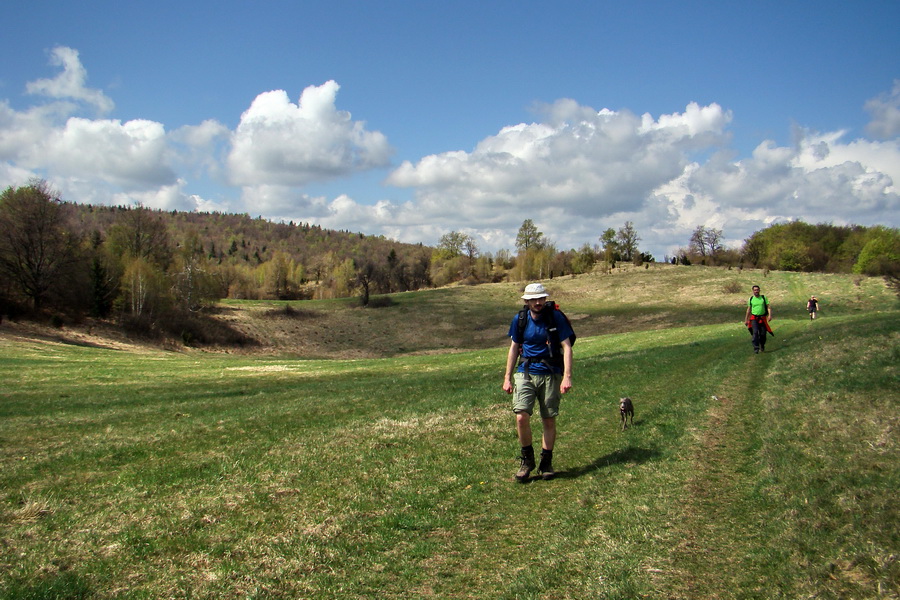 Gerlašská skala (Slovenský kras)