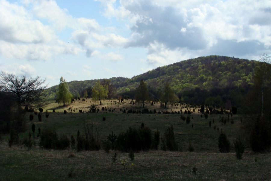 Gerlašská skala (Slovenský kras)