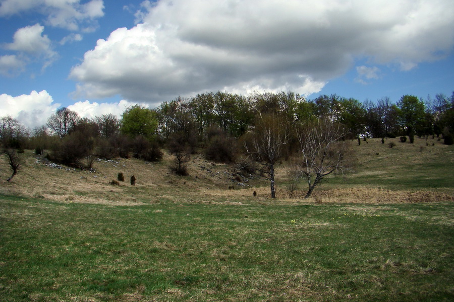 Gerlašská skala (Slovenský kras)