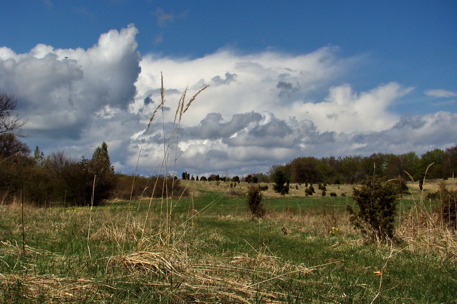 Gerlašská skala (Slovenský kras)