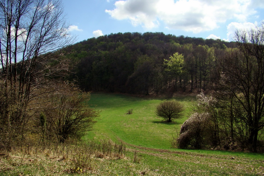 Gerlašská skala (Slovenský kras)