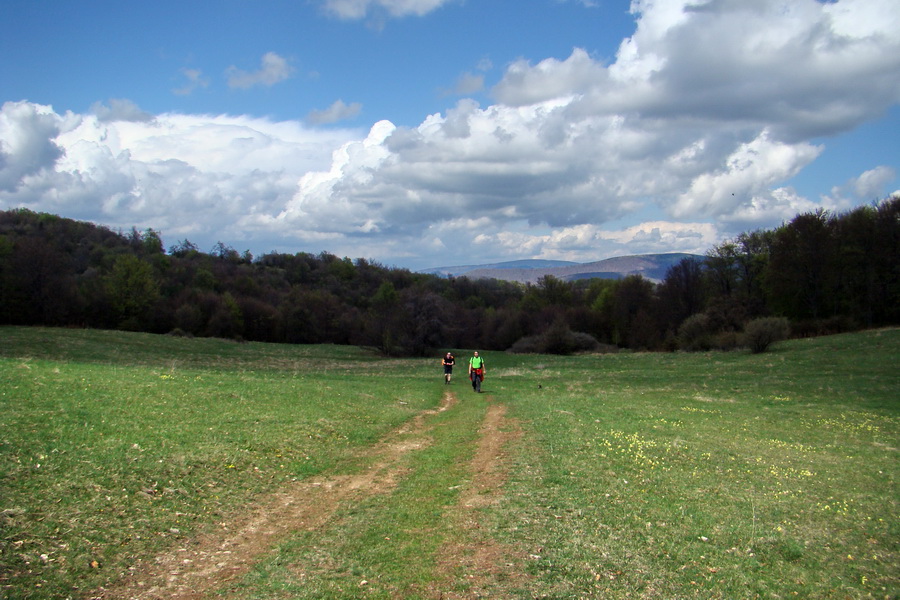 Gerlašská skala (Slovenský kras)