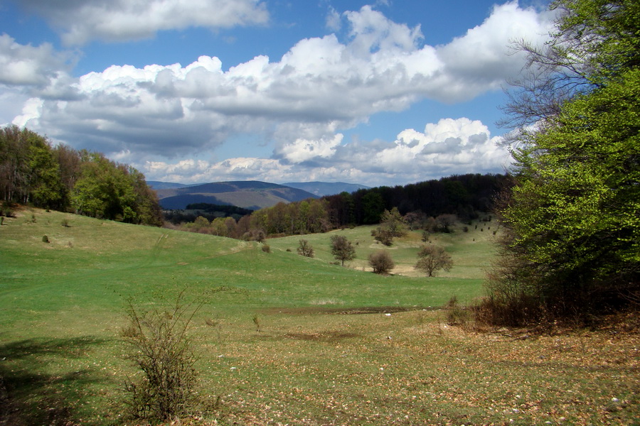 Gerlašská skala (Slovenský kras)