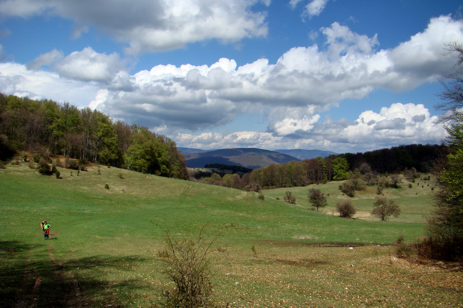 Gerlašská skala (Slovenský kras)