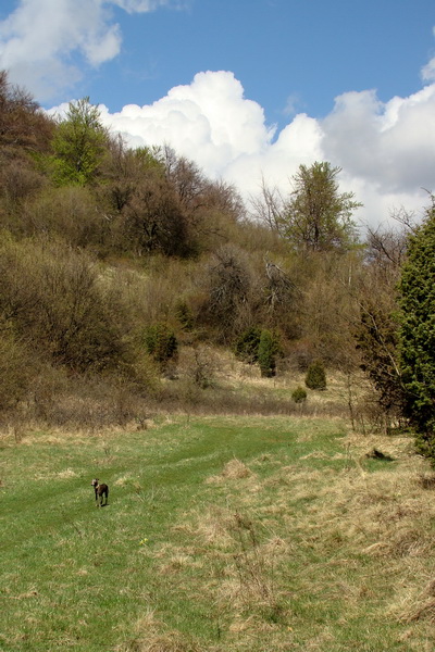 Gerlašská skala (Slovenský kras)