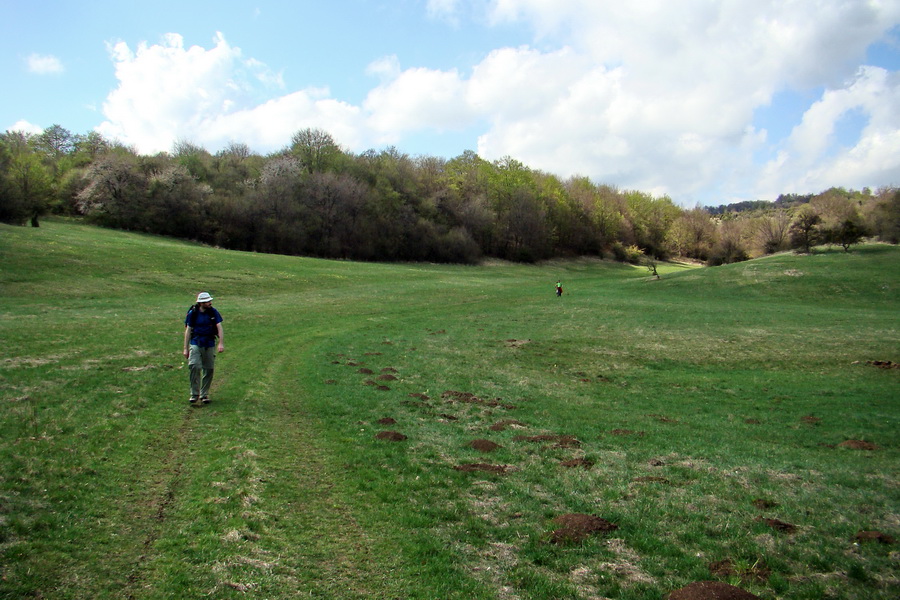 Gerlašská skala (Slovenský kras)